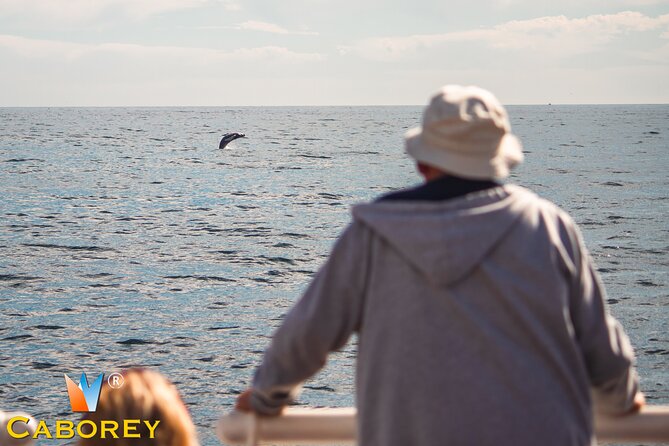 Cabo Whale Watch Three-Level Vessel and Majestic Arch - A morning at sea with two good reasons to look up