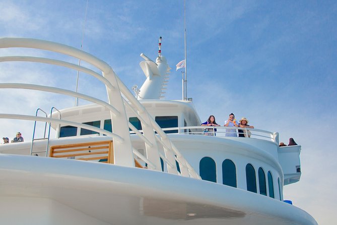 Cabo Whale Watch Three-Level Vessel and Majestic Arch - El Arco, the photo stop Cabo requires