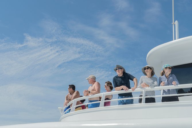 Cabo Whale Watch Three-Level Vessel and Majestic Arch - Breakfast with chilaquiles, eggs, and pancakes