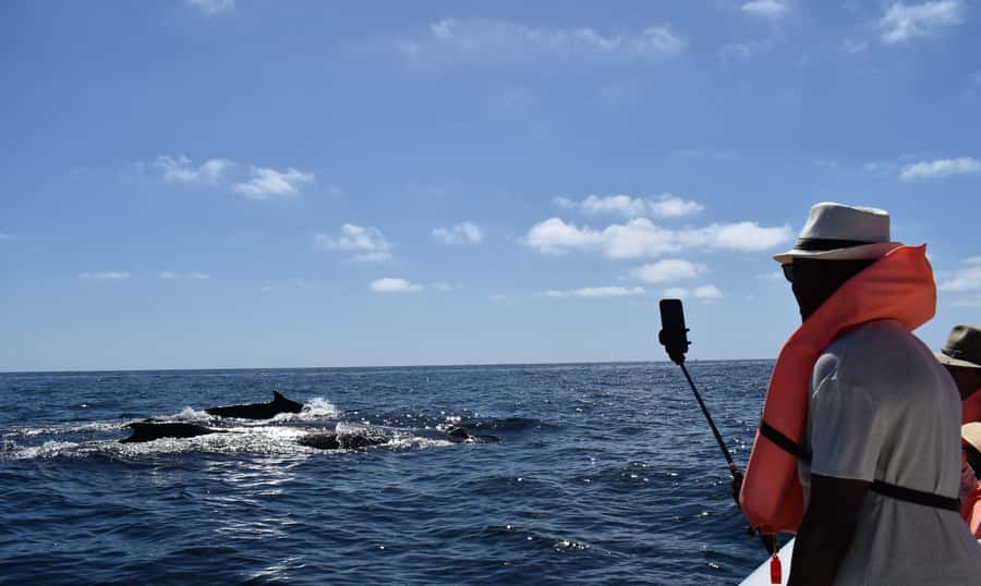 Cabo: Whale-Whatching Boat Trip w/ All-Women Crew and Photos - What you get for $91