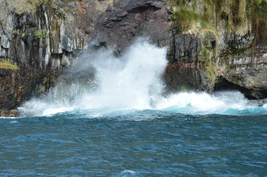Calheta: Whale & dolphin watching small groups designer tour - A private boat changes the feel of whale watching