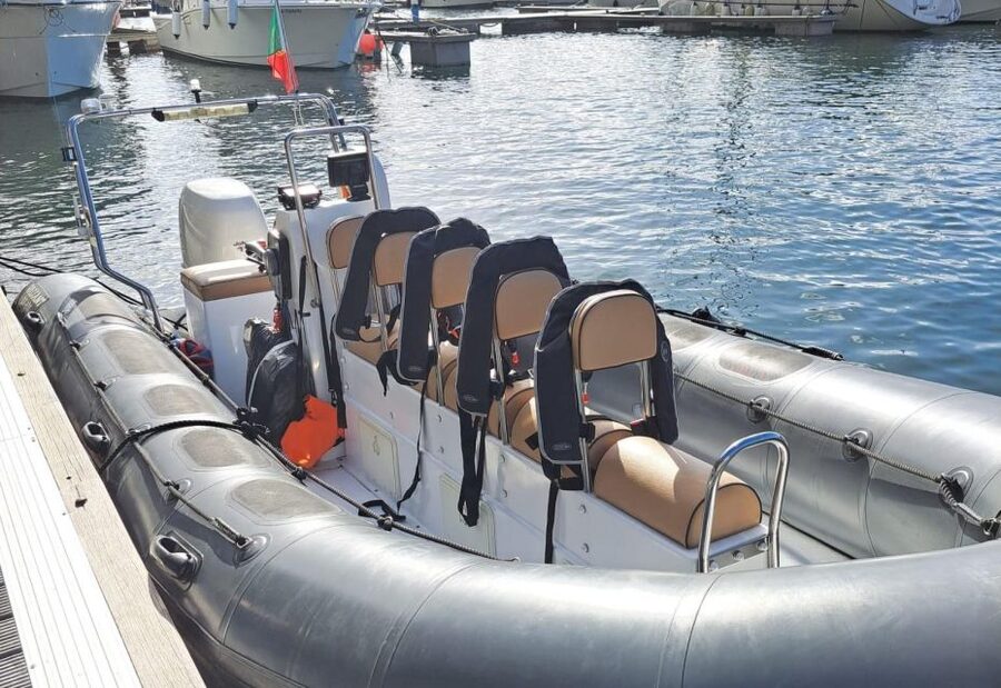 Calheta: Whale & dolphin watching small groups designer tour - Madeira’s southern coast from the water