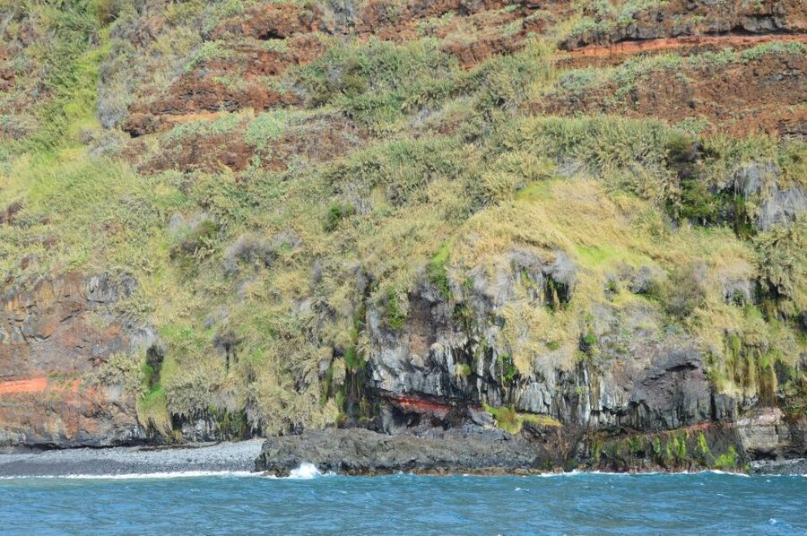 Calheta: Whale & dolphin watching small groups designer tour - Photos are included, but bring sun protection