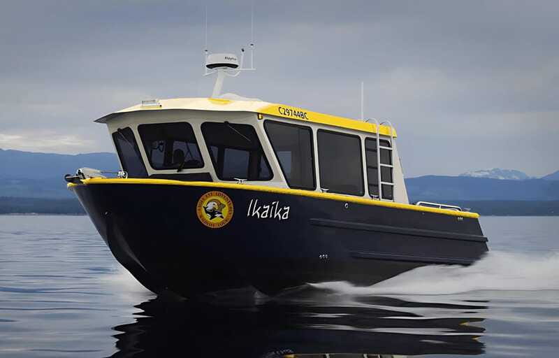Campbell River: 6 Hour Covered Whale Watching Tour w/ Lunch - Is $275 a fair price?