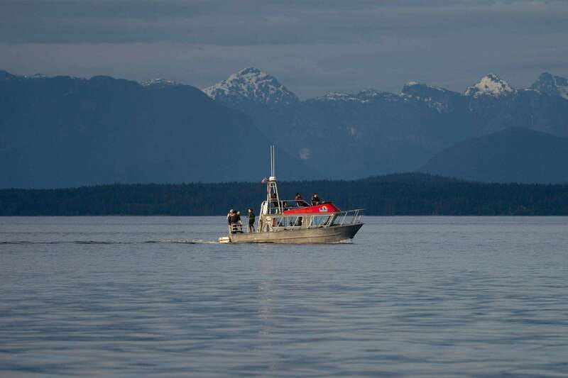 Campbell River: 6-Hour Whale Watching Boat Tour - The final two and a half hours on the water