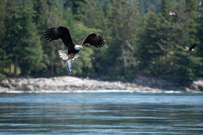 Campbell River: 6-Hour Whale Watching Boat Tour - Who will enjoy this tour most?
