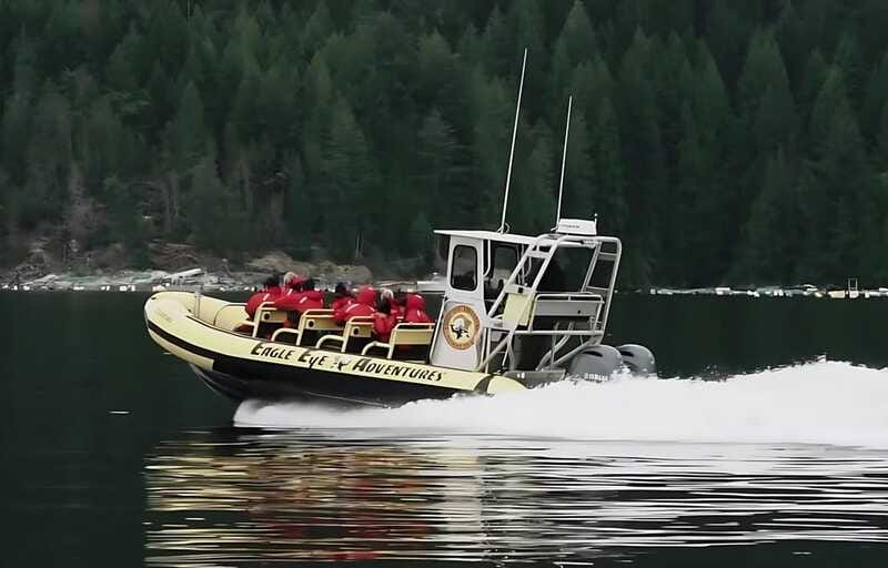 Campbell River: 6 Hour Zodiac Whale Watching Tour w/ Lunch - Lunch, snacks, and a six-hour rhythm