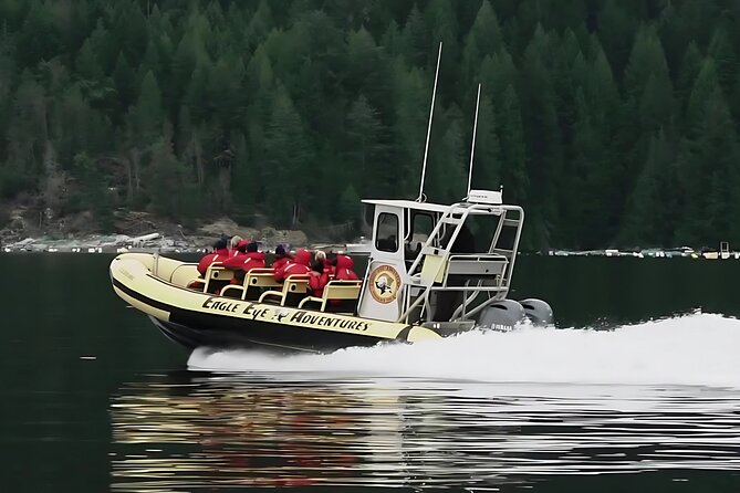 Campbell River, BC: 4 Hour Wildlife Tour Featuring Whale Watching - Setting Out From Campbell River