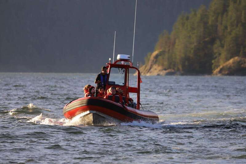 Campbell River: Whale & Wildlife Discovery Cruise - What four hours feels like on the water