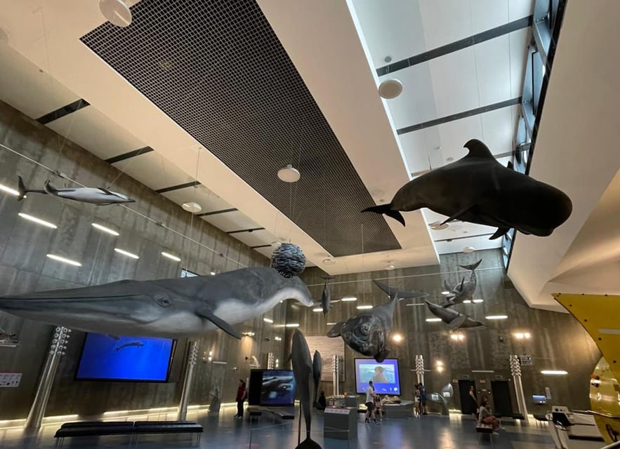Caniçal : Madeira Whale Museum Entry ticket - Key points to know before you go