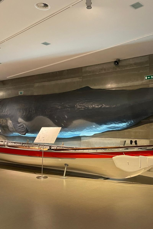 Caniçal : Madeira Whale Museum Entry ticket - Practical planning for a smooth visit