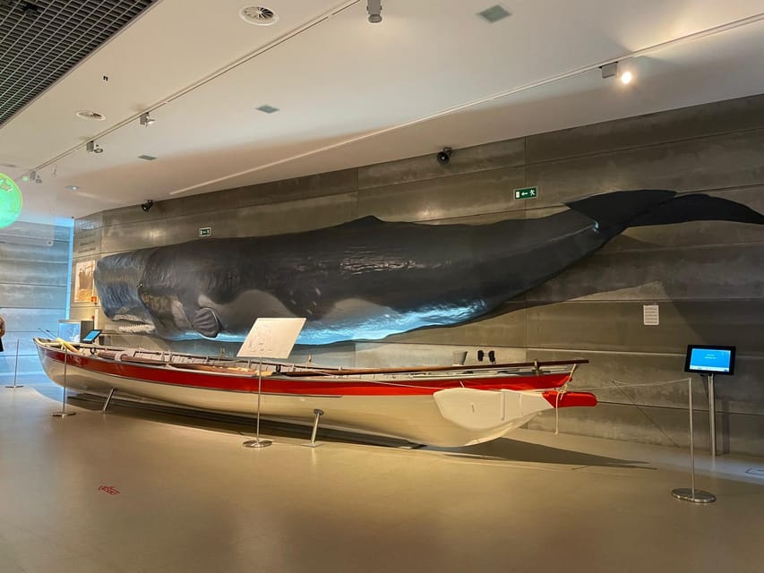 Caniçal : Madeira Whale Museum Entry ticket - The 3D films bring the subject closer