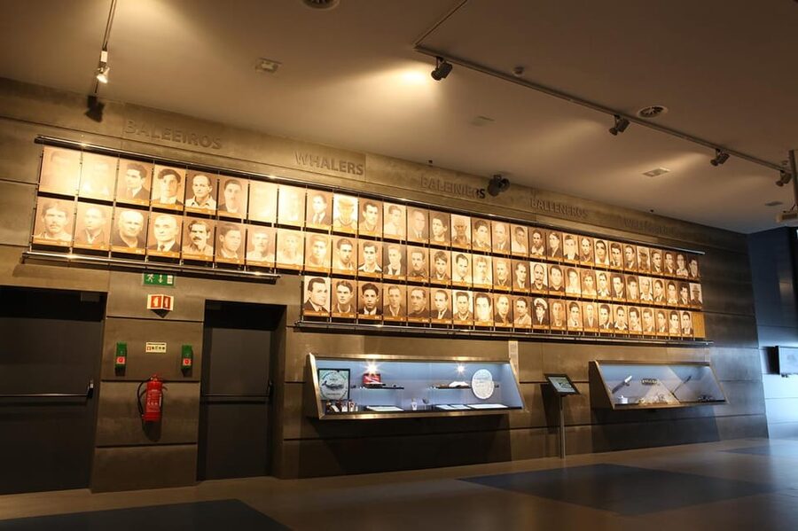 Caniçal : Madeira Whale Museum Entry ticket - Madeira’s whaling past, told through objects