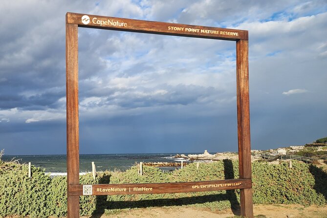 Cape Agulhas, Hermanus Whale Watching, Penguins and Wine Tasting - Hermanus for lunch and whale watching
