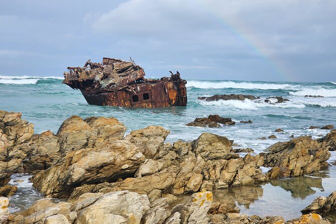 Cape Agulhas, Hermanus Whale Watching, Penguins and Wine Tasting - Stony Point and its African penguins