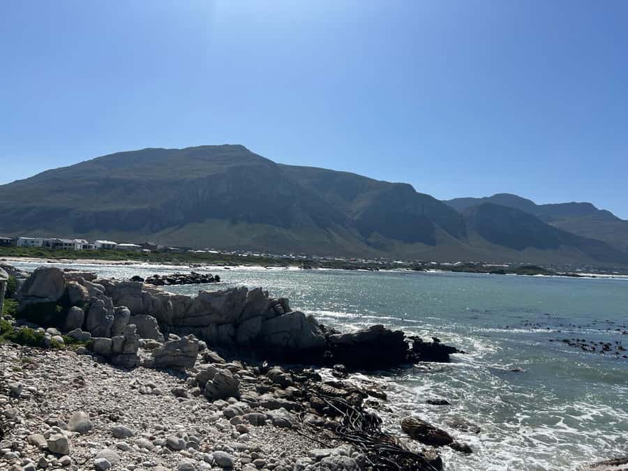Cape Agulhas, Hermanus whales & Wine Tasting Day Trip - A Stellenbosch wine tasting after the coast