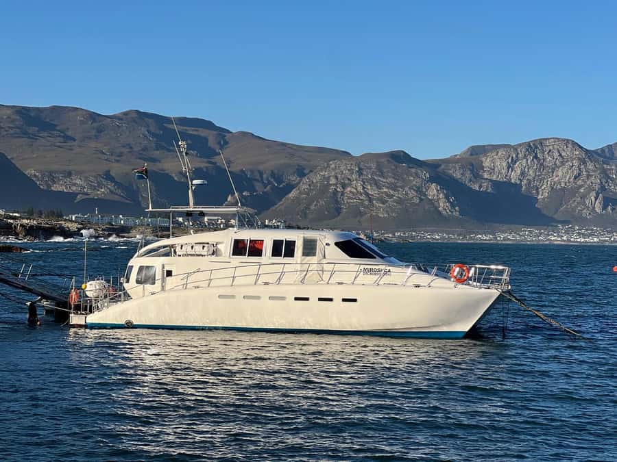 Cape Agulhas, Hermanus whales & Wine Tasting Day Trip - What the price includes at $264
