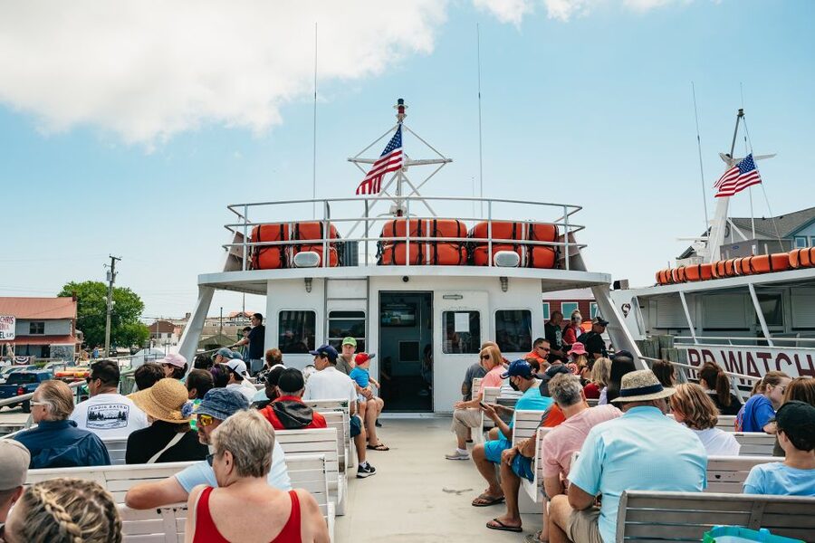 Cape May: Jersey Shore Whale and Dolphin Watching Cruise - Booking, cancellation, and practical details