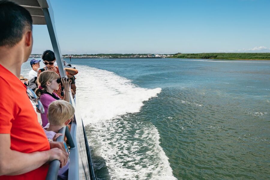 Cape May: Jersey Shore Whale and Dolphin Watching Cruise - Three hours, with room to take a break