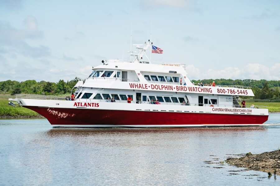 Cape May: Jersey Shore Whale and Dolphin Watching Cruise - Is the boat suitable for families and wheelchair users?