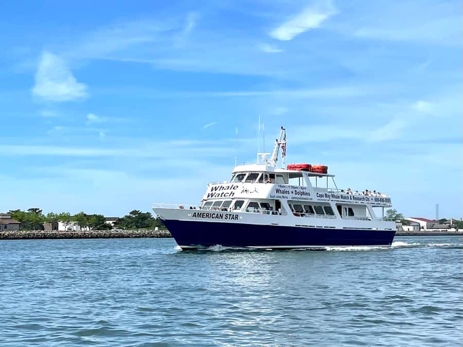 Cape May: Scenic Whale and Dolphin Watching Cruise - The guide turns a boat ride into a nature lesson