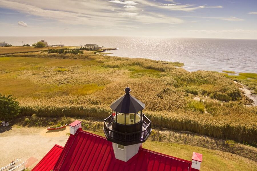 Cape May: Weekend Whale and Dolphin Watching Cruise - Key points to know before you book