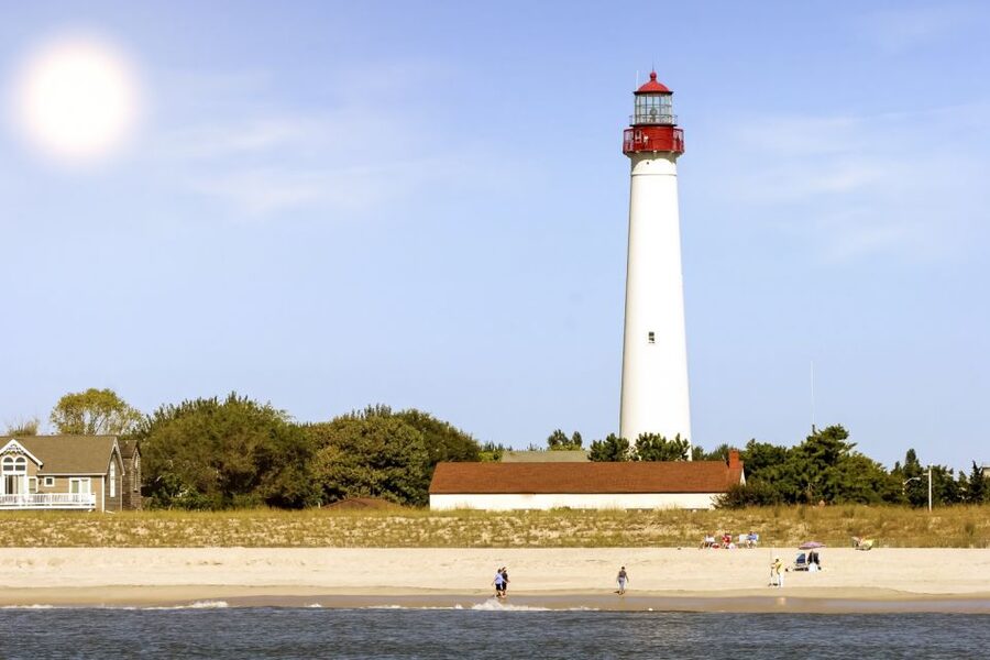 Cape May: Weekend Whale and Dolphin Watching Cruise - Should you book the Cape May dolphin cruise?