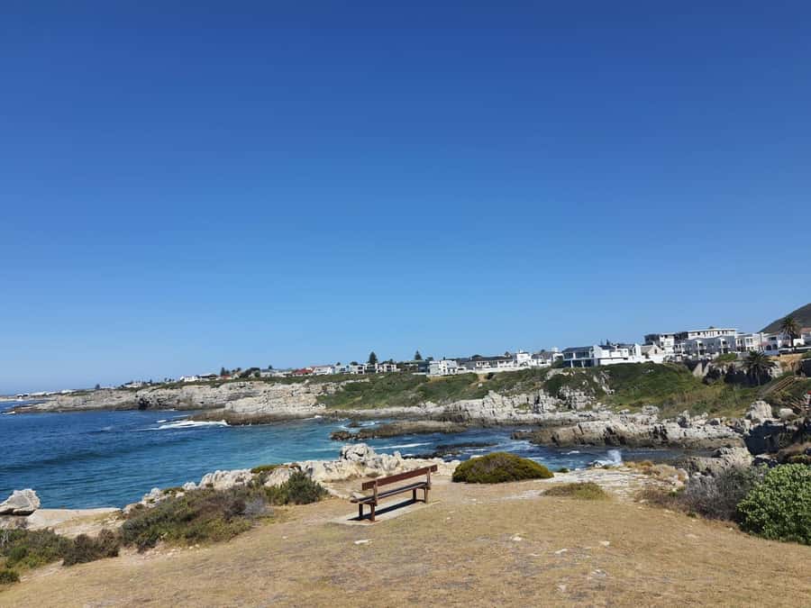 Cape Town: Hermanus Whale Watching Shared Boat & Penguins - Hermanus puts whales at the center of the day