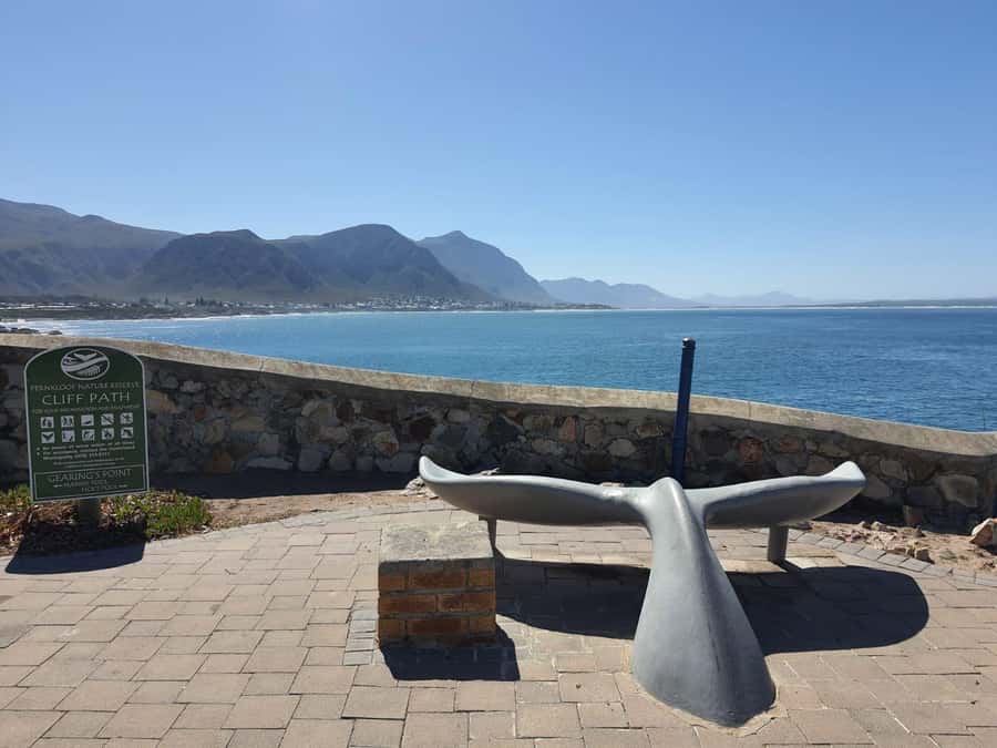 Cape Town: Hermanus Whale Watching Shared Boat & Penguins - Stony Point offers a calmer penguin encounter