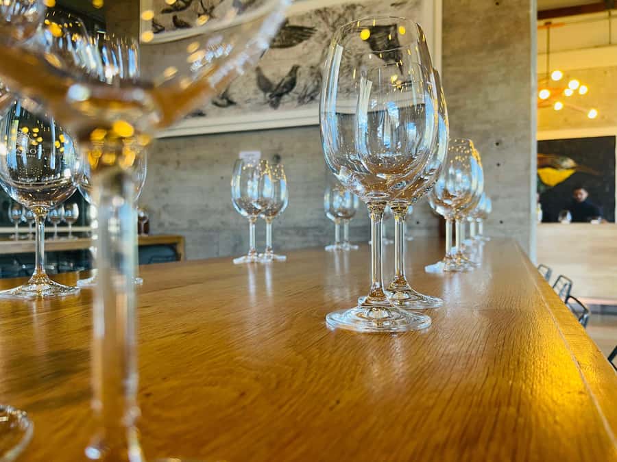 Cape Town: Hermanus Whale Watching Tour - Should you book the Hermanus whale and wine tour?