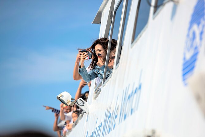 City Cruises Boston Whale Watching Cruise by High-Speed Boat - Outdoor decks, indoor cabin, and onboard food