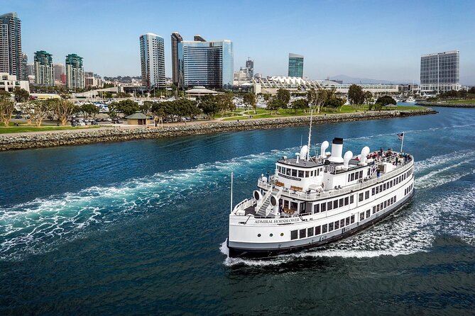 City Cruises San Diego: Whale and Dolphin Watching Adventure - Why San Diego is a good place to search for whales