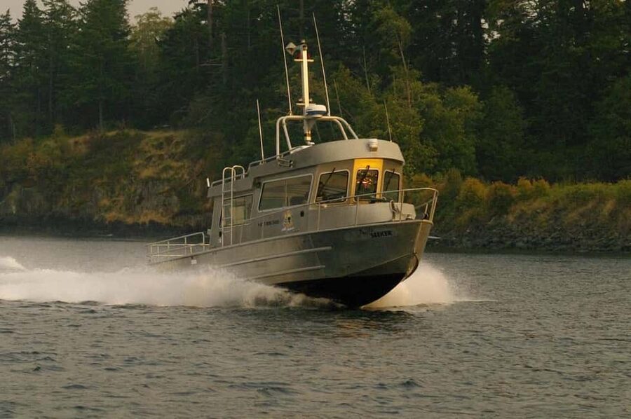 Comox: 4 Hour Whale and Wildlife Watching Tour - A heated cabin, outdoor deck, and onboard bathroom