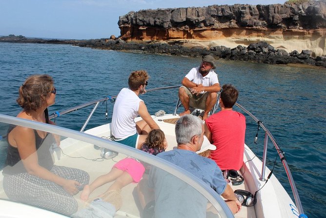 Costa Adeje | Cetacean sighting in Tenerife South - Key points to know before booking