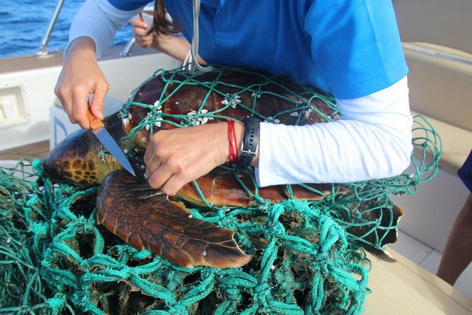 Costa Adeje | Cetacean sighting in Tenerife South - The hydrophone is the special feature