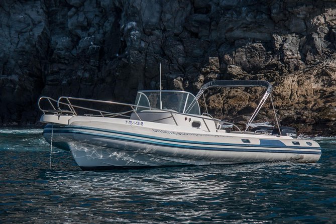 Costa Adeje | Cetacean sighting in Tenerife South - David, Mirna, and the teaching on board