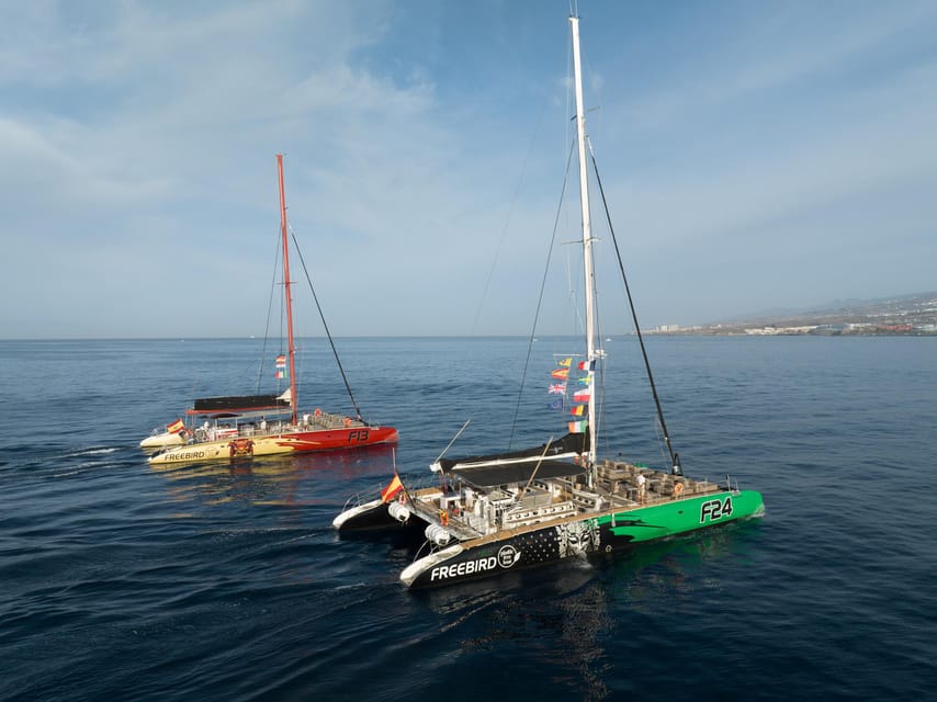 Costa Adeje: Masca and Los Gigantes Whale Watching Cruise - Why this Tenerife cruise is worth considering