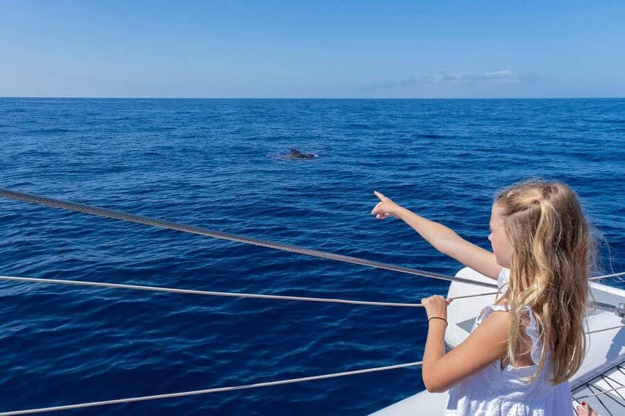 Costa Adeje: Masca and Los Gigantes Whale Watching Cruise - What the $71 price really covers