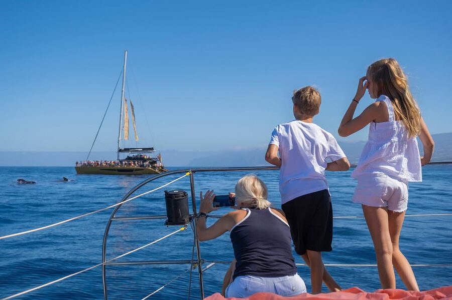 Costa Adeje: Masca and Los Gigantes Whale Watching Cruise - Should you book the Masca and Los Gigantes cruise?