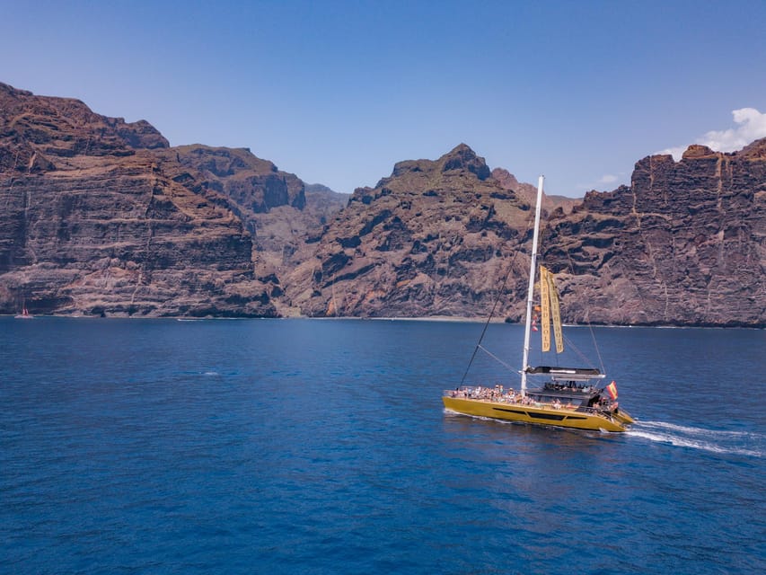 Costa Adeje: Masca and Los Gigantes Whale Watching Cruise - Watching dolphins and pilot whales off Tenerife