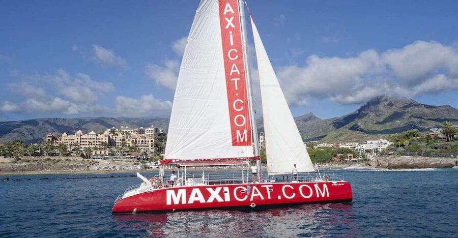Costa Adeje: Whale and Dolphin Cruise with Food and Pickup - What this three-hour cruise is really like