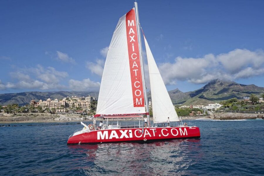 Costa Adeje: Whale and Dolphin Cruise with Food and Pickup - Meeting the red MAXICAT at Puerto Colon