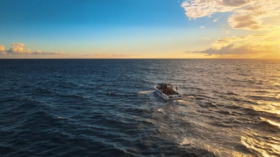 Costa Adeje: Whale and Dolphin-Watching Boat Excursion - Key points to know before you book