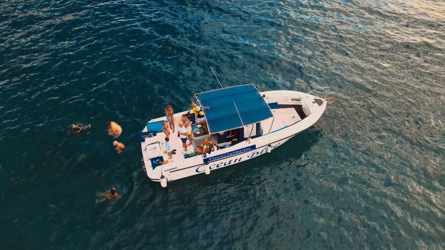 Costa Adeje: Whale and Dolphin-Watching Boat Excursion - What makes this a good family outing