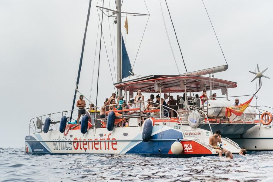 Costa Adeje: Whale & Dolphin Eco-Cruise with Snacks & Drinks - Key points to know before booking
