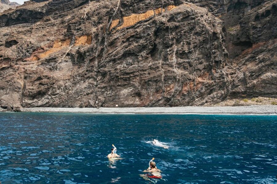 Costa Adeje: Whale & Dolphin Eco-Cruise with Snacks & Drinks - Setting out from Puerto Colón in Costa Adeje