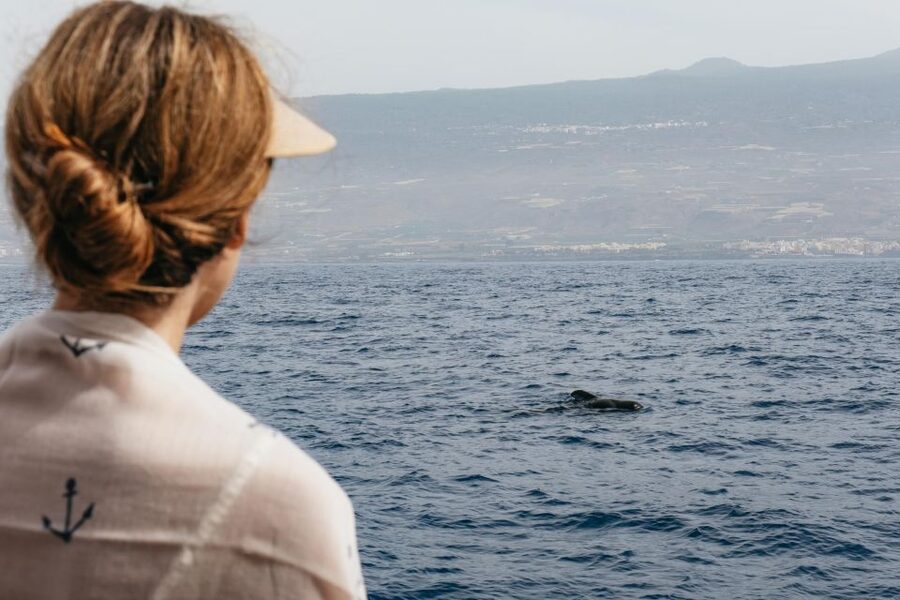 Costa Adeje: Whale & Dolphin Eco-Cruise with Snacks & Drinks - Hearing the ocean through underwater audio