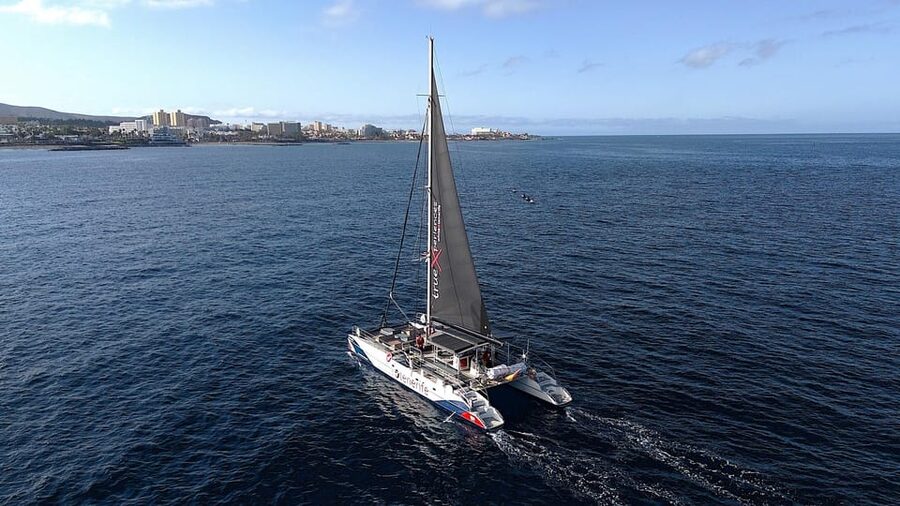 Costa Adeje: Whale & Dolphin Eco-Cruise with Snacks & Drinks - How the eco approach affects your experience