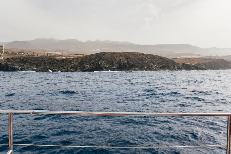 Costa Adeje: Whale & Dolphin Eco-Cruise with Snacks & Drinks - Seasickness, comfort, and practical concerns