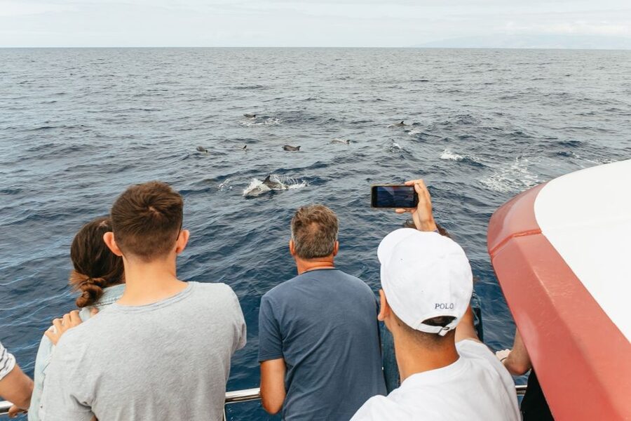 Costa Adeje: Whale & Dolphin Submarine Vision Mini Cruise - What the underwater viewing area is really like